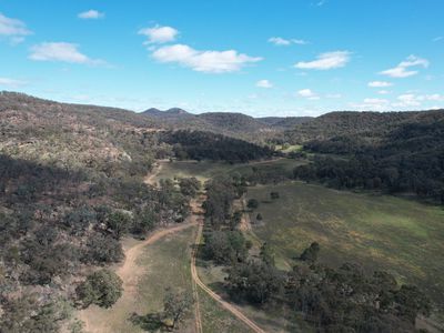 1950 FLAGGS ROAD, Gungal