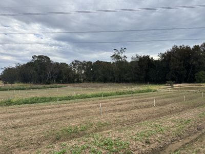 203 Heath Road, Leppington