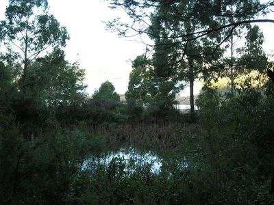 Evans Road, Port Huon