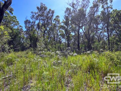 Lot 104, 1768 Silent Grove Road, Silent Grove