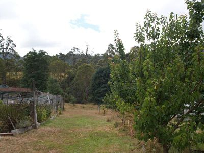1046 Lonnavale Road, Lonnavale