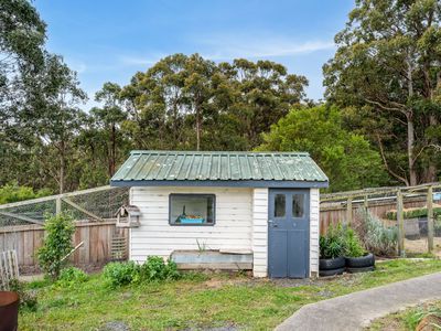 28 Ginns Road, Wattle Grove