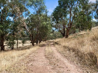 159 Prowd Lane, Bonnie Doon