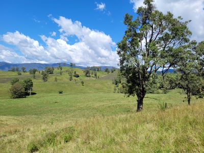 472 Neringla Road, Neringla