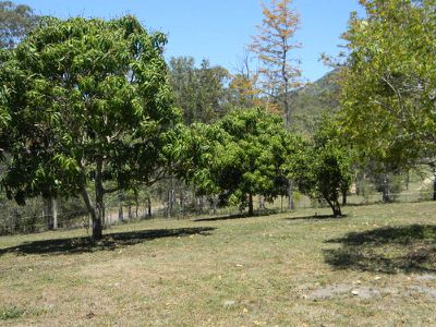 478 Moy Pocket Road, Kenilworth