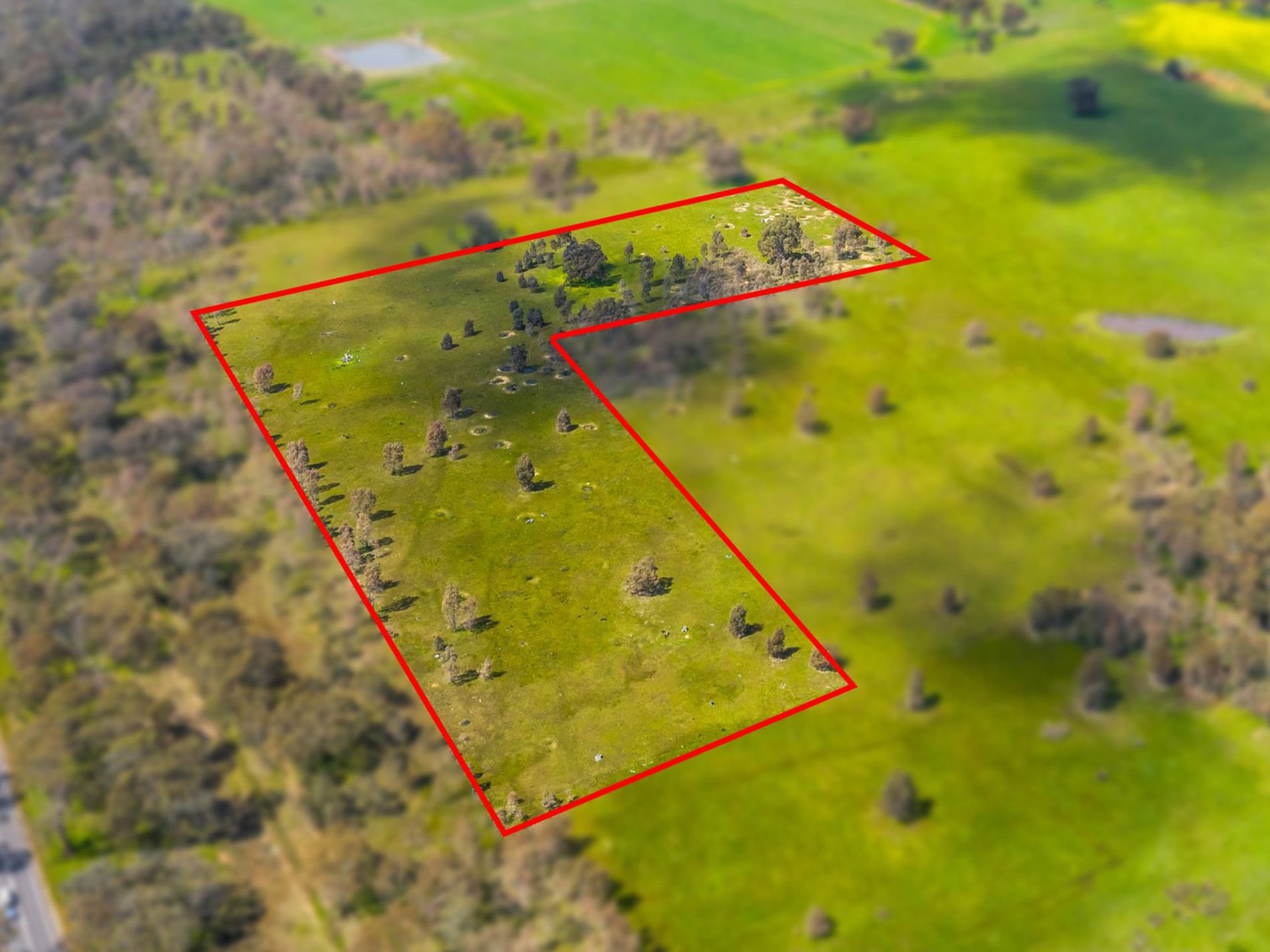 Lots 38G & 38H Peters Gully Road, Argyle