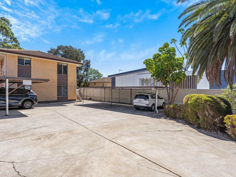 6 / 44 Fiveash Drive, Pasadena
