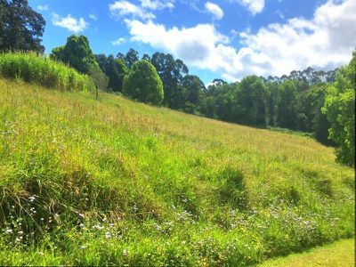 Lot 4 Wallaby Road, Stony Chute