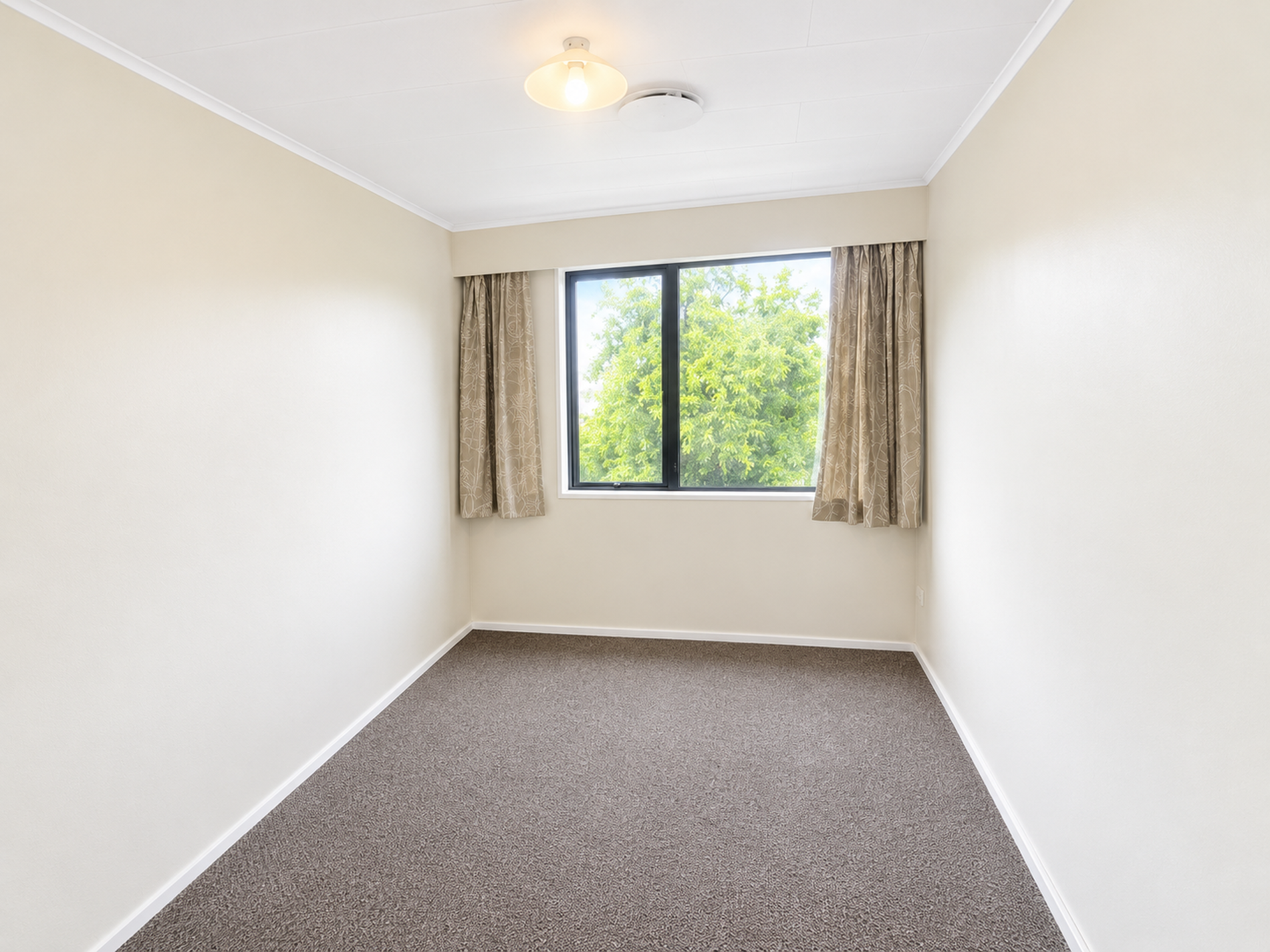 B / 1 Corrie Street, Dunedin Central