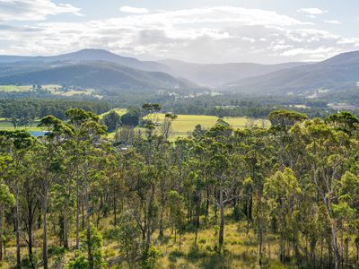 Lot 25 Turn Creek Road, Grove