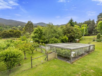 23 Underwoods Road, Nicholls Rivulet