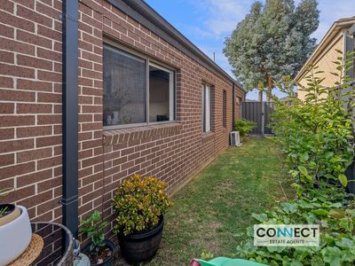 6 Ciliata Street, Cranbourne North