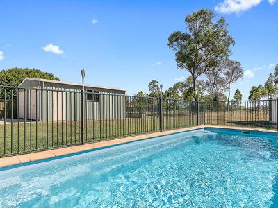 66 Ibis Boulevard, Eli Waters