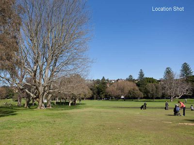 255 OSullivan Road, Rose Bay