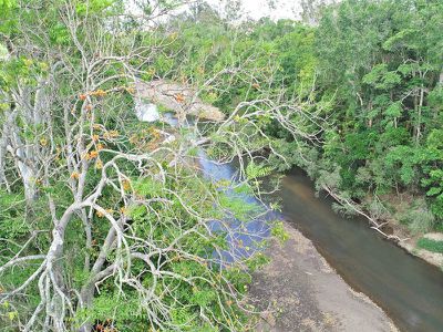 Biboohra