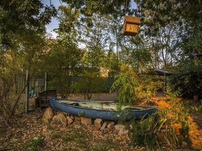 10 Kurrajong Street, Kununurra
