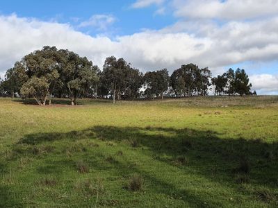 505 Hardings Lane, Tooborac