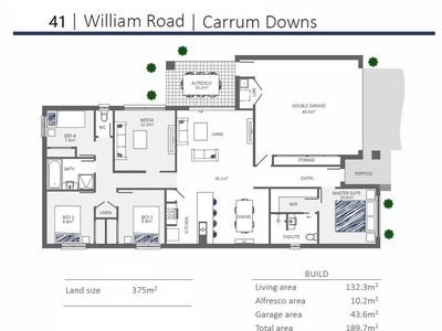 41 WILLIAM ROAD, Carrum Downs