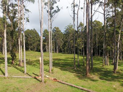 Lot 4, 32 Twin Creeks Road, Mengha