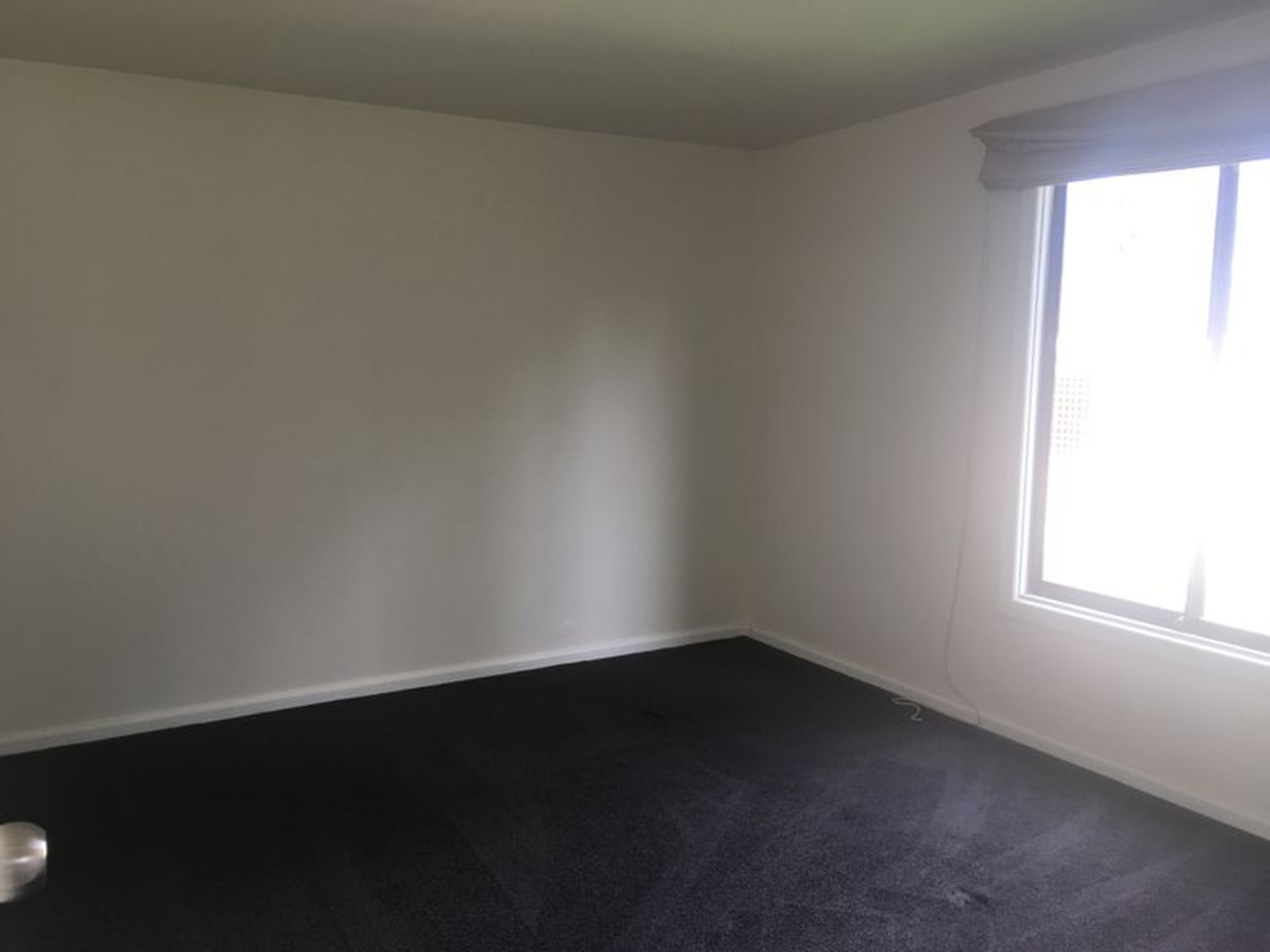 36A Oxford Street, CAMBRIDGE PARK