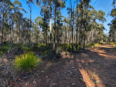 123 Lake View Road, Lake Leake