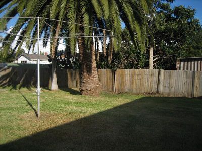 Lake Illawarra