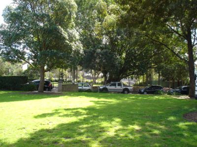 17 Erskineville Road, Newtown