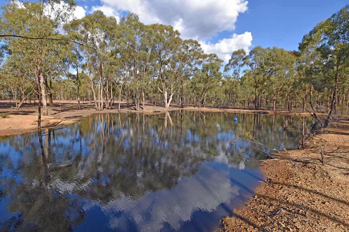 826 Murchison-Whroo Road, Rushworth