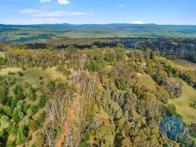 65 Bunstons Road, Tolmie