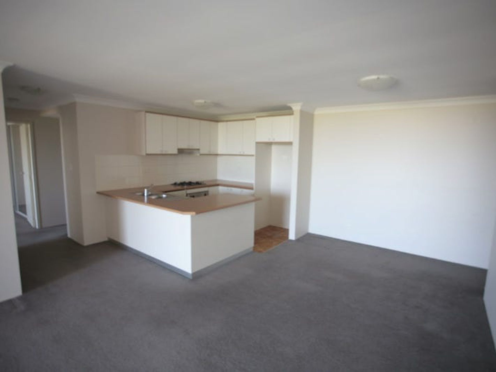 3708 / 177 Mitchell Road, Erskineville