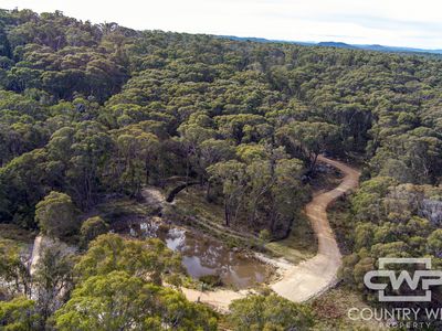 106 Warra Forest Road, Mount Mitchell