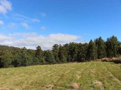 Lot 1 Narrows Road, Strathblane