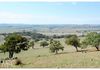 Lot 100 Emu Swamp Road, Orange