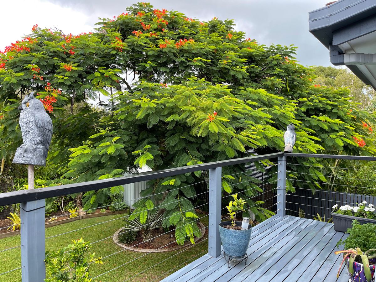5 White Street, Point Vernon