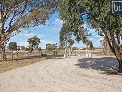 12 Wattlevale Road, Walla Walla
