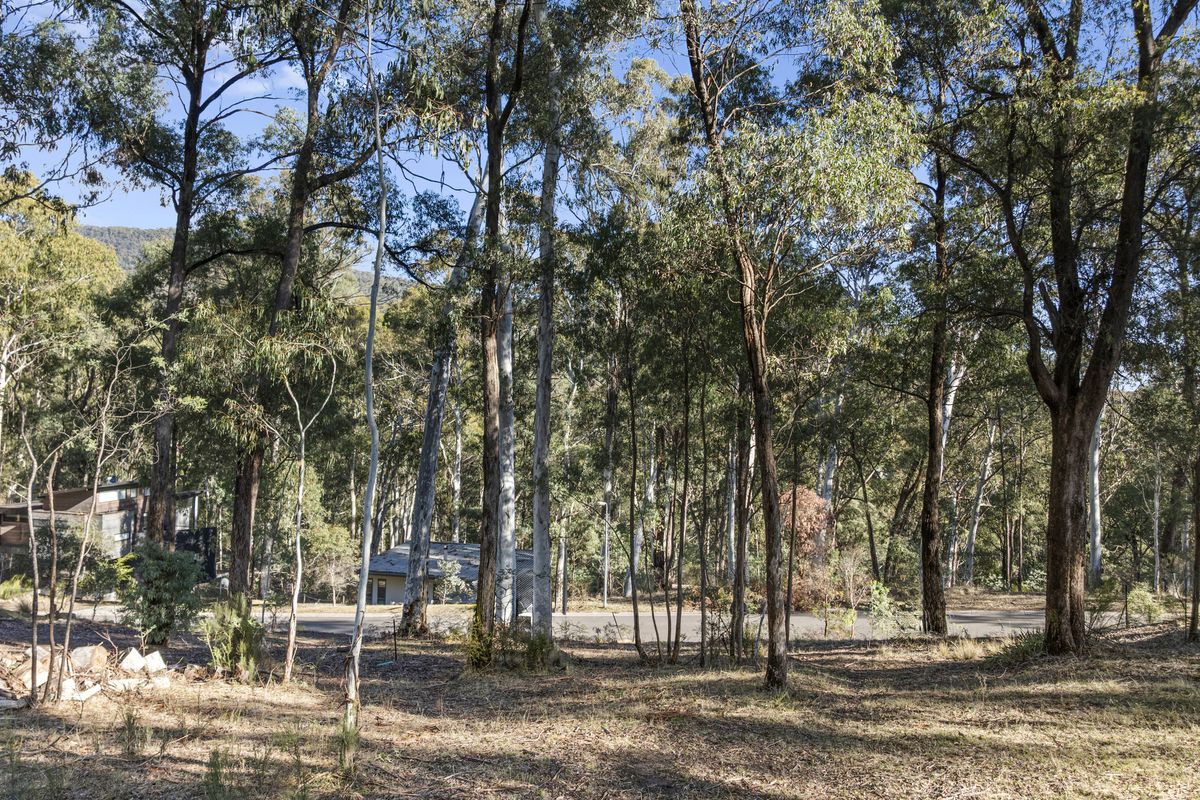 41 Christensen Street, Sawmill Settlement