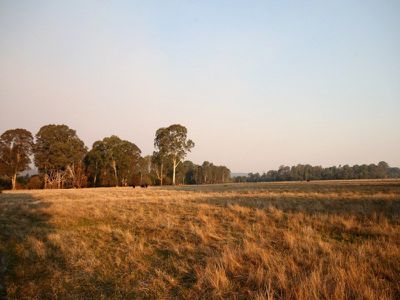 4433 Wangaratta-Whitfield Road, Whitfield