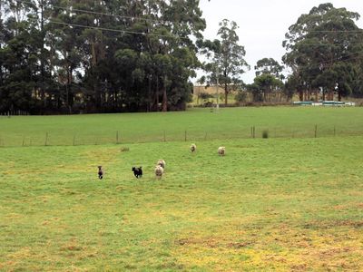 9 Tabbys Road, Christmas Hills