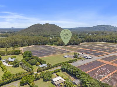 43 Morrison Road, Glass House Mountains