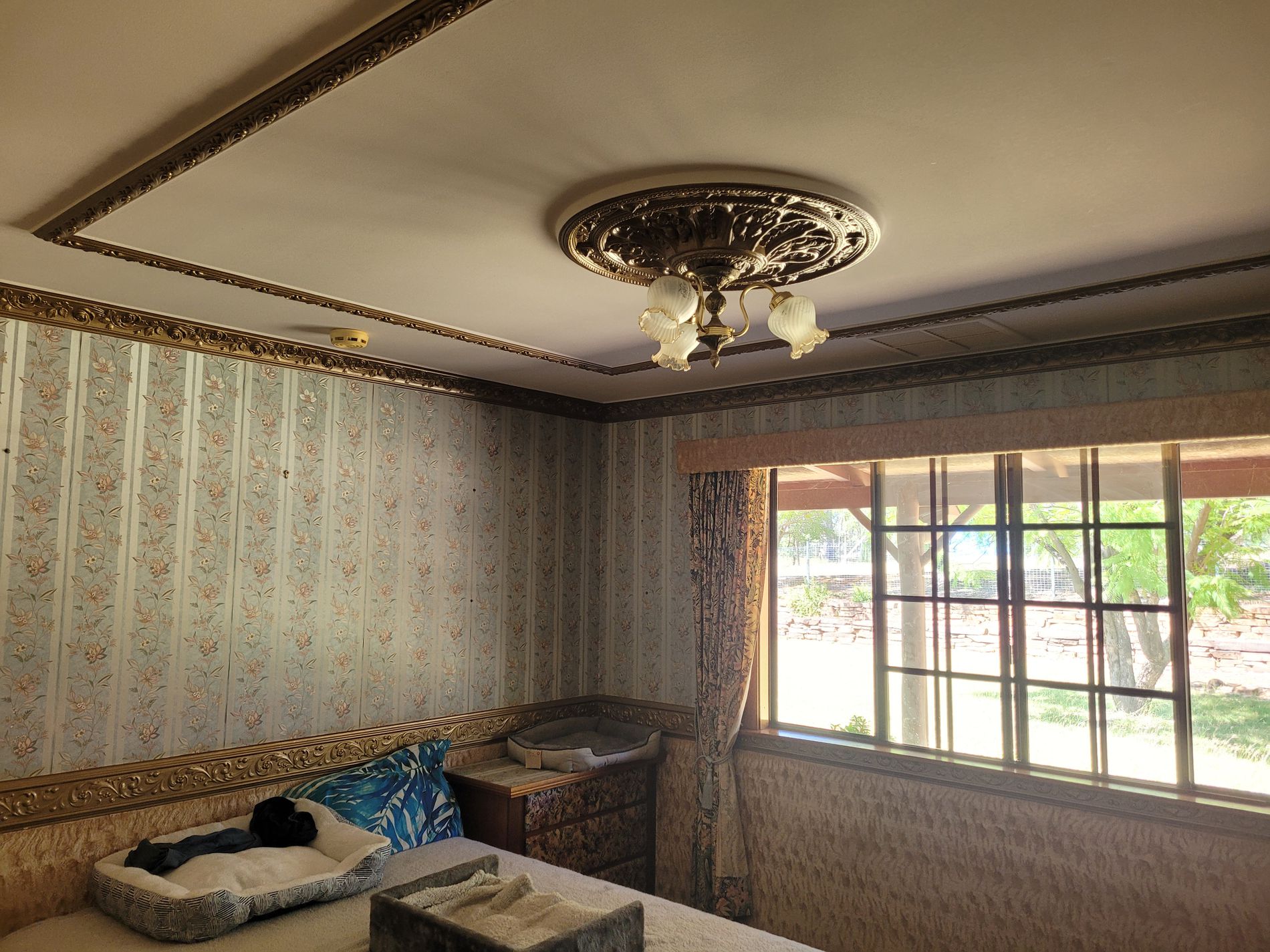 32 WILLOUGHBY STREET, Willows