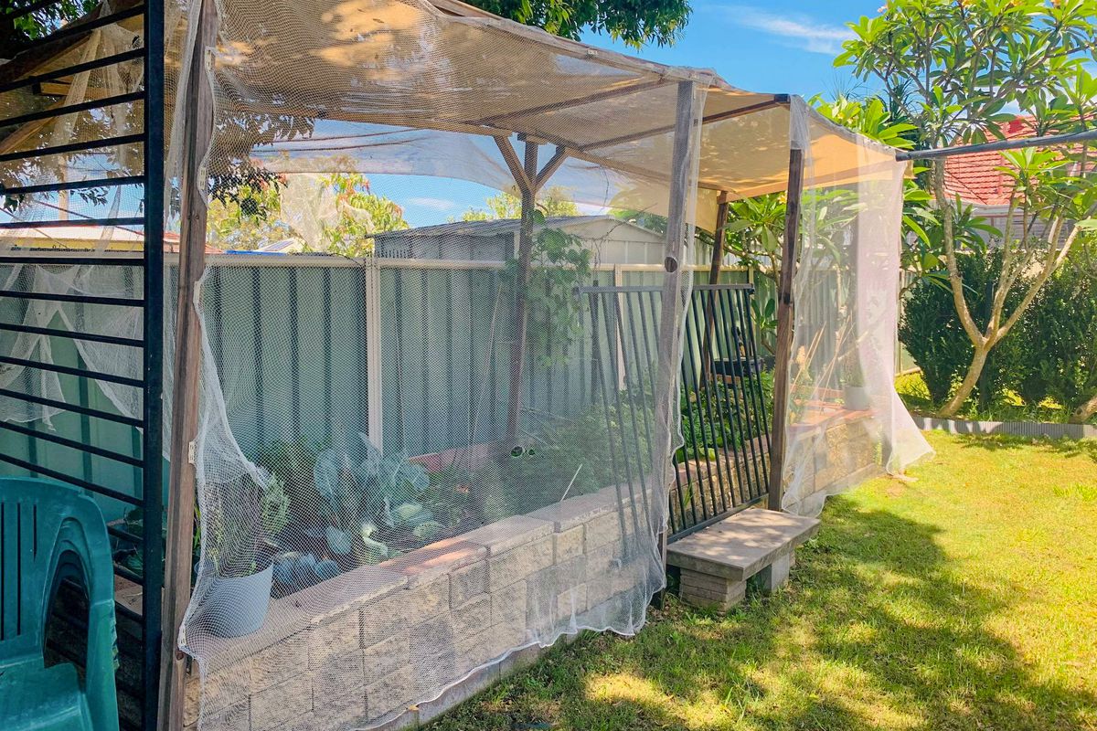 38 Cowper St, Taree