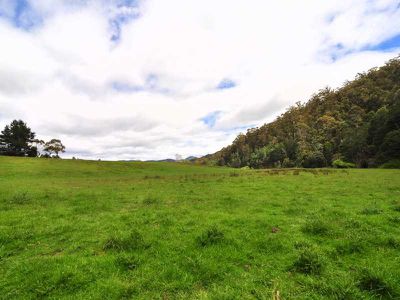 Gardners Bay