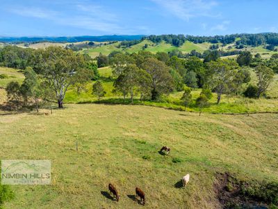 207 Whites Road, Homeleigh
