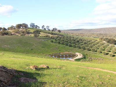 Drummond Lane, Heathcote
