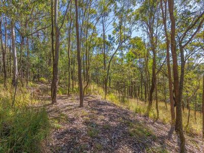 1334 TAMBORINE OXENFORD ROAD, Wongawallan