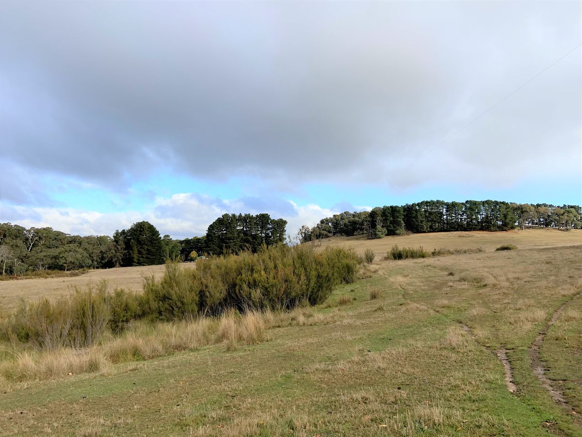 322 Mackerells Road, Strathbogie