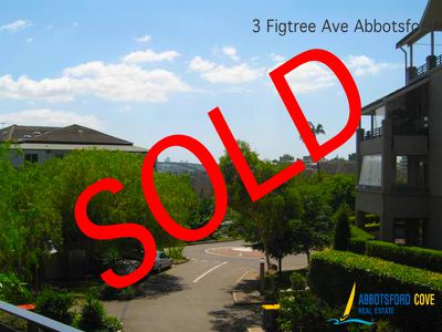 3 Figtree Ave, Abbotsford