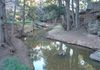 554 Edinboro Lane, Orange