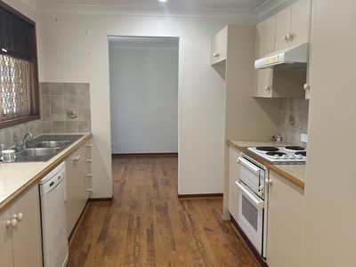 22 Mountain Ash Close, Medowie