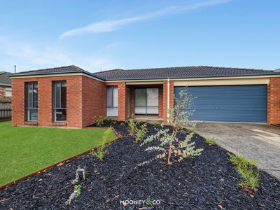 8 Stephellen Way, Cranbourne West